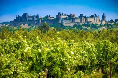 a castle on a hill behind a field of grapes at La maison d' Anne , nature et convivialité ... in Albas