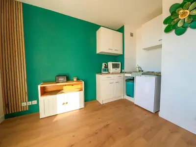 a small kitchen with green walls and white cabinets at Splendide appartement GOLDEN HOUSE vue LAC et montagne in Port-la-Nouvelle