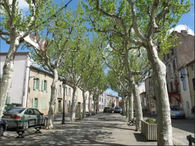 a street lined with trees on a city street at Apartment in Azille near Lac de Jouarres in Azille
