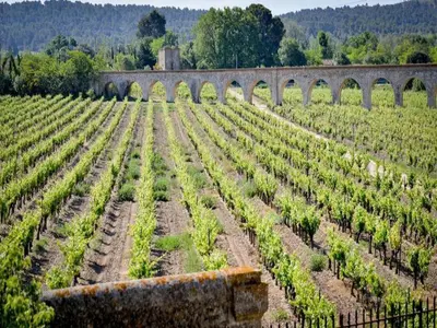 an old bridge over a field of vines at Apartment in Azille near Lac de Jouarres in Azille