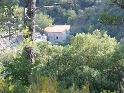 a painting of a house in the middle of trees at Le Cantou de Juliette (studio) in Prugnanes