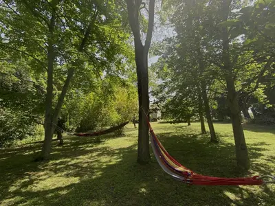 a hammock in the middle of a park with trees at Domaine de Lanis - Chambres d'hôtes avec parc et piscine in Castelnaudary