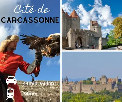 a collage of pictures of a castle and a man holding a bird at L'appart cinéma Centre ville Narbonne in Narbonne