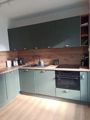 a kitchen with green cabinets and a sink and a stove at Superbe Appt avec cour et parking gratuit à 5min de la cité médiévale in Carcassonne