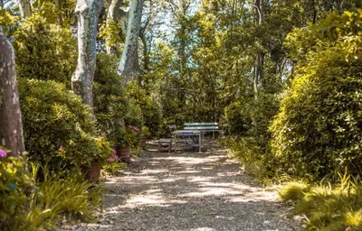 a garden with a picnic table and some bushes and trees at Gîte de l'arbre perché à Langel in Armissan