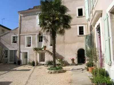 a small tree in a pot next to a pool at OCC34 - Capestang - Manoir in Capestang