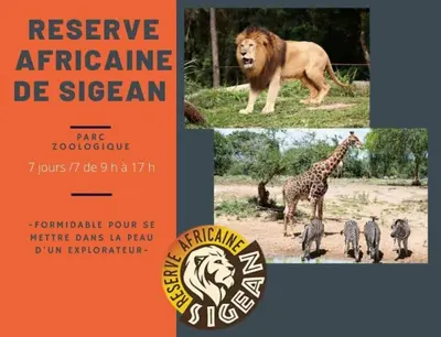 a collage of pictures of a lion giraffe and other animals at Les mobil homes de Naka, 6 places, TV, CLIM in Port-la-Nouvelle