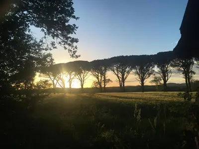 a group of trees in a field at sunset at Gîte de l'Abbé 8 à 10 personnes in Lempaut