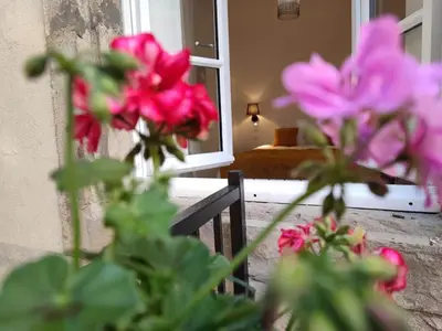 a vase of pink flowers in front of a window at Le Jardin Secret ConciergerieDameCarcas in Carcassonne