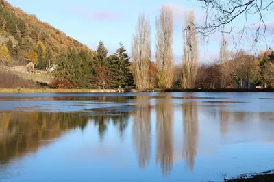 a view of a lake with trees in the background at Charmant T2 indépendant in Belcaire